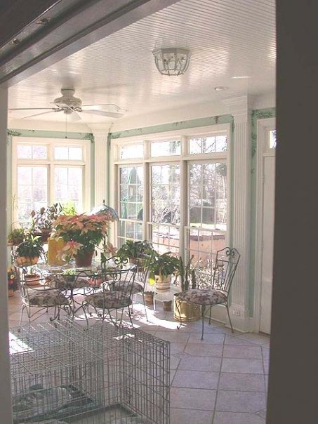 Windows and Trim 1