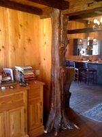 Interior Tree