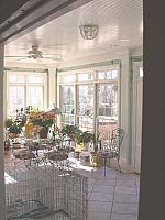 Windows and Trim 1